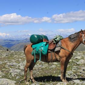Конный тур на Алтае