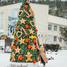 Новогодний тур