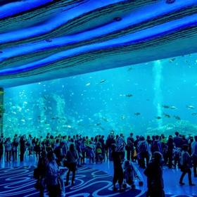 Парк Chimelong Ocean Kingdom, Чжухай