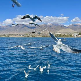 Озеро Иссык-Куль