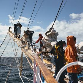 Парусник МИР