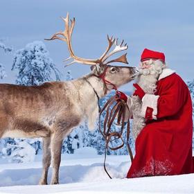 зимний отдых в Карелии