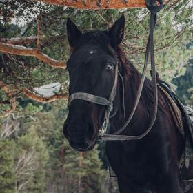 Конный тур в Архыз