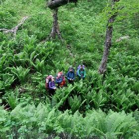 Поход по Налычевской долине