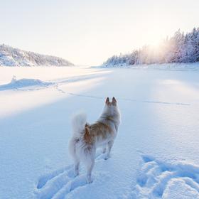 Тур по Кольскому полуострову