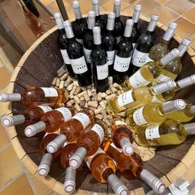 Дегустация вина