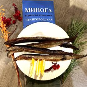 Нарвская минога