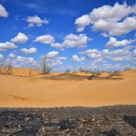 Пустыня Кызылкум