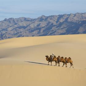 Пустыня Гоби