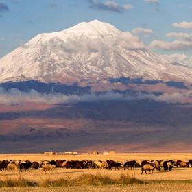 Гора Арарат в Турции