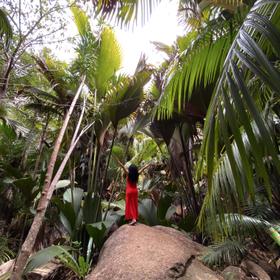 Остров Кюрьёз