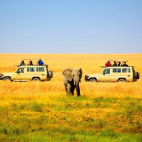 Сафари в национальном парке Амбосели