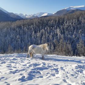 Зимний пейзаж