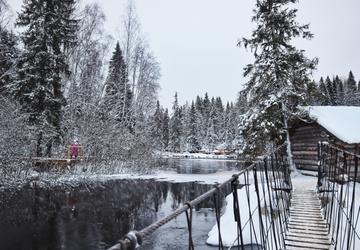 Зимний лес
