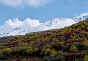 Северная Осетия