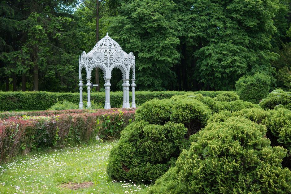 Центральный ботанический сад в Минске